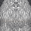 Yeti_thumb