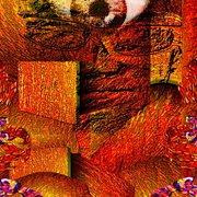 Nbm_5--_fgd--hty1_card