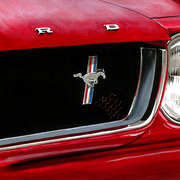 Mustang-4_web_card