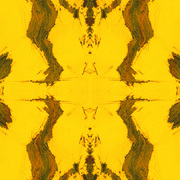 Mirror_ghost__card