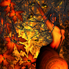 Salyangoz_thumb