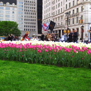 Nyc2008_056_card