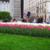 Nyc2008_056_thumb
