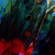 08254_voodoo_01_card