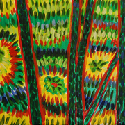 In_the_woods__2__card