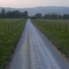 _dsc5177_thumb