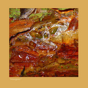 Multitudinous_card