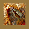 Hole_thumb