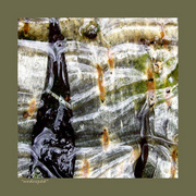 Waterfall_card