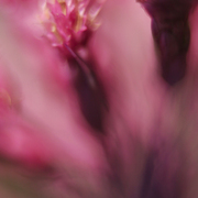 Triptych1_card
