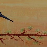 Pied_kingfiisher_card