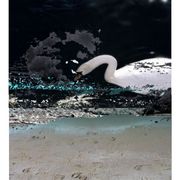Bqcdaaaaawodanbnaaaabc5vdxqkfjjka2rebkzkm1jhzutpnmfhehhmulea_card