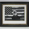 Patriotism_framed_thumb