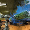 Indiscriminate-illusions_thumb