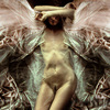 Butterfly_thumb