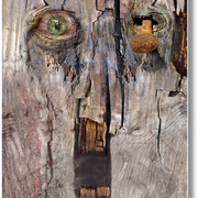 Scream_3_card