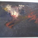 Abstractbird-oil_square