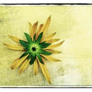 895478_157297_be1f81f203_p_card