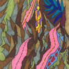 Hidden_valley_thumb