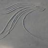 White_wave_4_web_thumb