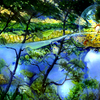 Costa_dorado_thumb