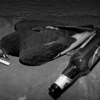 Sad_pigeon_web_thumb