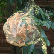 Picture_022_card