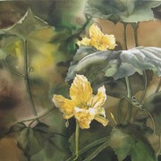 7__squashs_blossoms_20x24_card