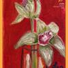 Orchid-4x5-low_1__thumb