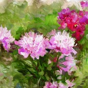 119048039_card