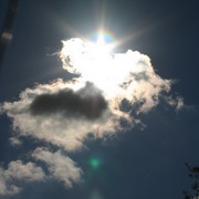 Picture_068_card