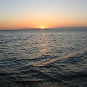 Picture_004_card