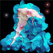 Blue2_card