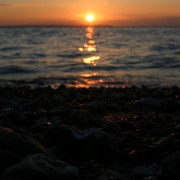 Picture_001_card