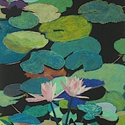 1220_blair_s_magical_pond_card
