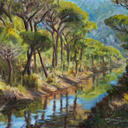 Canale_in_pineta_card