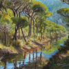 Canale_in_pineta_thumb