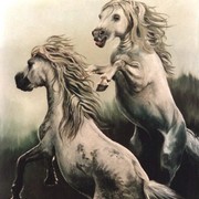 Gponies_card