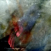 Ph072908-4_card