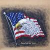 Eagle_and_flag02_thumb