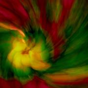 311553831_w2ur2-l-7_card
