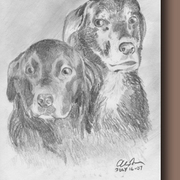 Nancys_dogs_card
