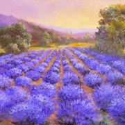 Lavender_card