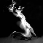 115_card