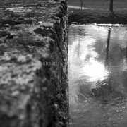 Bridge_36_wm_card