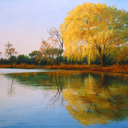 Weeping_willow_card