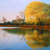 Weeping_willow_thumb
