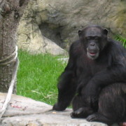 Img_2161_card