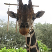 Img_2300_card