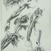 Leonardo-da-vinci_card